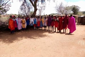 Masai Village Experience (Day trip)