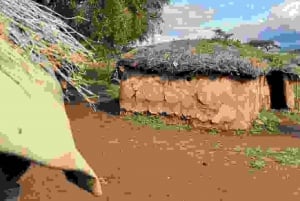 Masai Village Experience (Day trip)