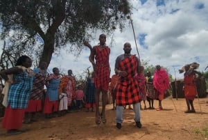 Masai Village Experience (Day trip)