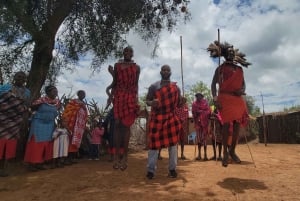 Masai Village Experience (Day trip)