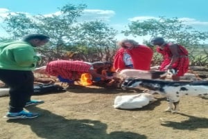 Masai Village Experience (Day trip)