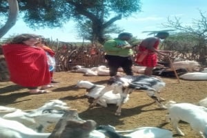Masai Village Experience (Day trip)