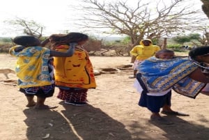 Masai Village Experience (Day trip)