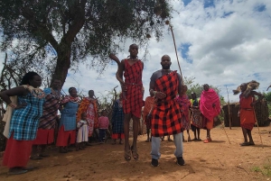 Masai Village Experience (Day trip)