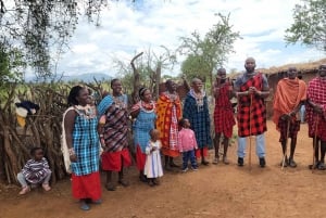 Masai Village Experience (Day trip)