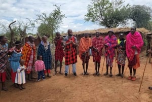 Masai Village Experience (Day trip)
