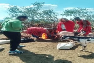 Masai Village Experience (Day trip)