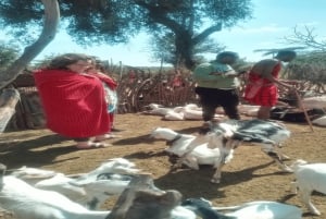 Masai Village Experience (Day trip)