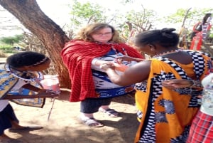 Masai Village Experience (Day trip)