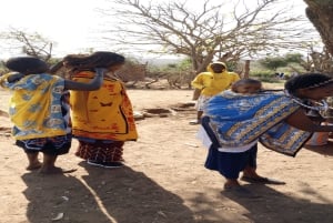 Masai Village Experience (Day trip)