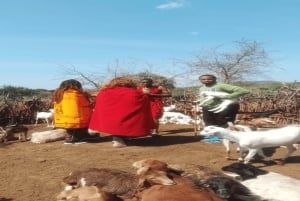Masai Village Experience (Day trip)