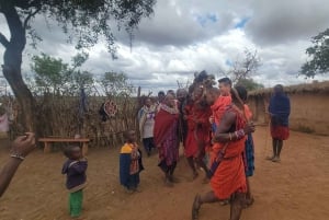 Masai Village Experience (Day trip)