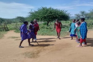 Masai Village Experience (Day trip)