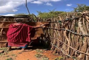 Masai Village Experience (Day trip)