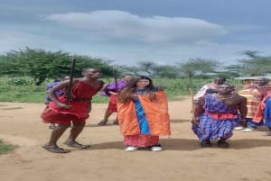 Masai Village Experience (Day trip)