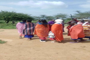 Masai Village Experience (Day trip)