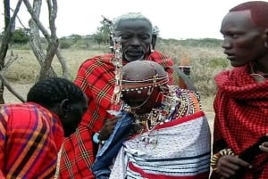 Masai Village Experience (Day trip)
