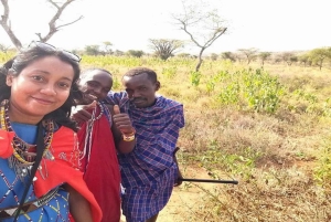 Masai Village Experience (dagstur)