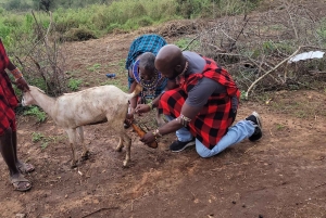 Masai Village Experience (dagstur)
