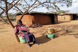 Masai Village Experience (dagstur)