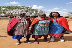 Masai Village Experience (dagstur)