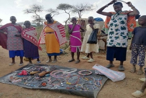Masai Village Experience (dagstur)