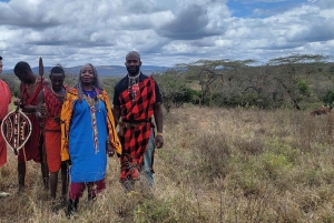 Masai Village Experience (dagstur)