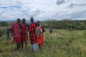 Masai Village Experience (dagstur)