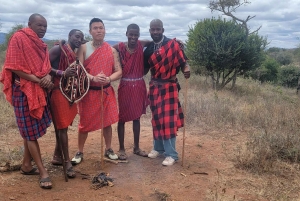 Masai Village Experience (dagstur)