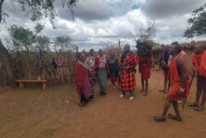 Masai Village Experience (dagstur)