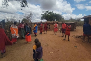Masai Village Experience (dagstur)