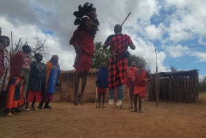 Masai Village Experience (dagstur)
