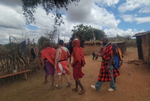 Masai Village Experience (dagstur)