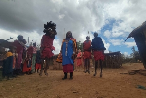 Masai Village Experience (dagstur)