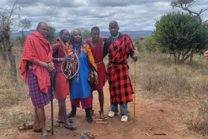 Masai Village Experience (dagstur)