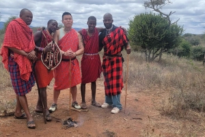 Masai Village Experience (dagstur)