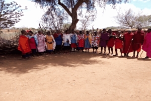 Masai Village Experience (dagstur)