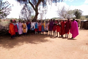 Masai Village Experience (dagstur)