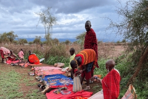 Masai Village Experience (dagstur)