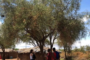 Masai-byrundtur och kultur till Kajiado från Nairobi.