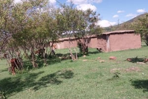 Masai Village Visit From Nairobi Day Tour