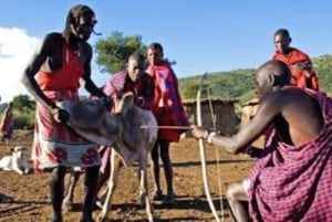 Masai Village Visit From Nairobi Day Tour