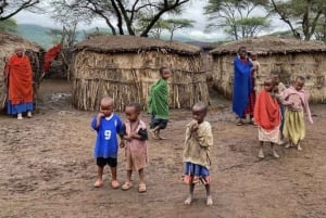 Masai Village Visit From Nairobi Day Tour