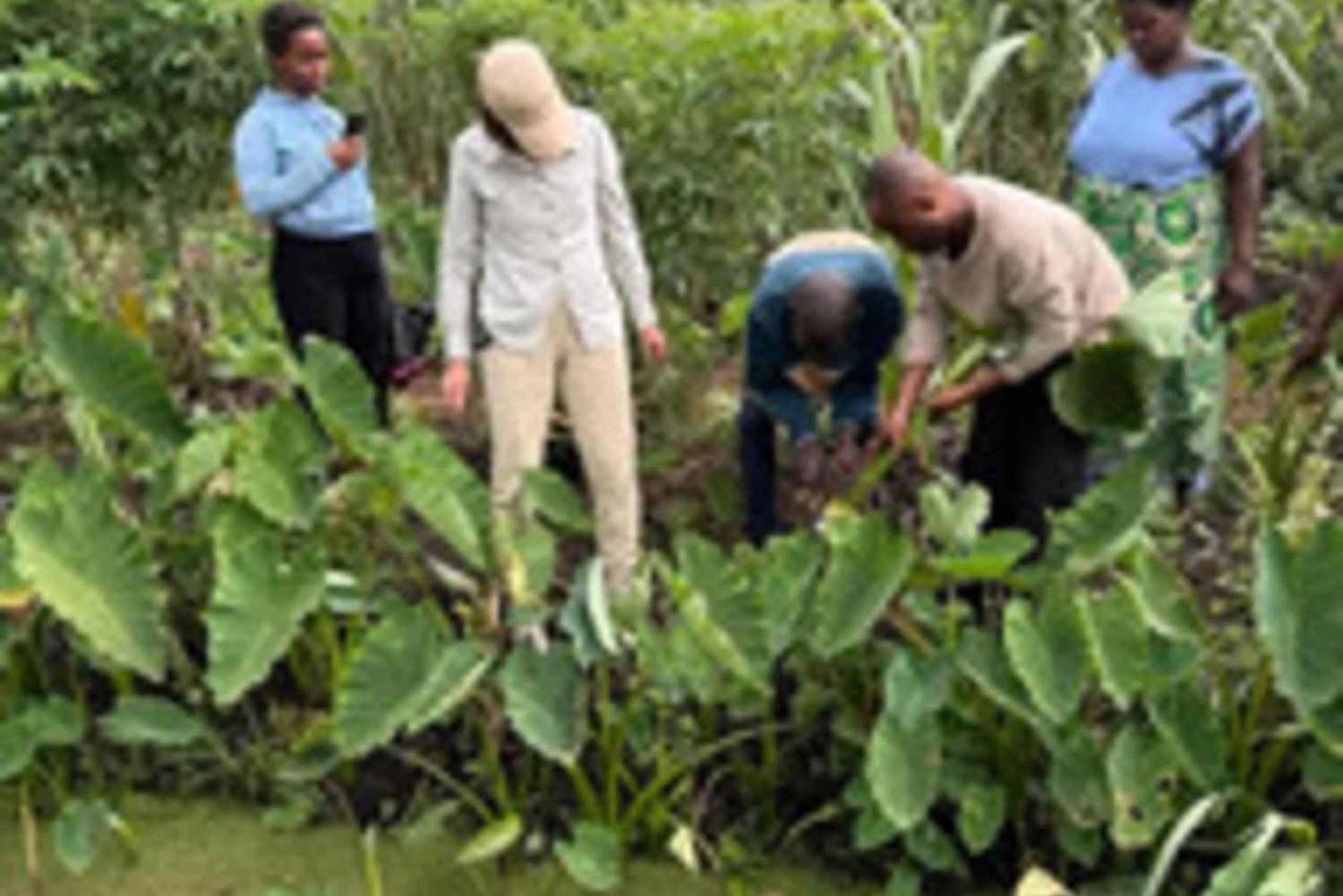 Meru: Banana Beer Brewing Class with Local Guide