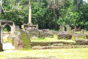 Excursión de un día a Mida Creek, Ruinas de Gede y Vasco da Gama en Malindi