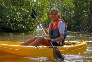 Aventura na floresta de mangais de Mida Creek com observação de aves