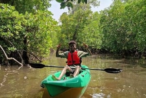 Aventura na floresta de mangais de Mida Creek com observação de aves