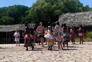 Aventura na floresta de mangais de Mida Creek com observação de aves
