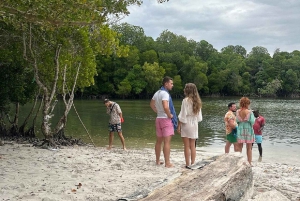 Aventura na floresta de mangais de Mida Creek com observação de aves