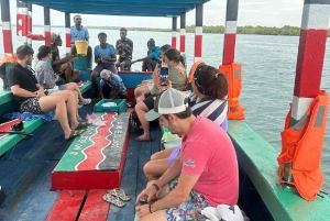 Mida Creek Mangrove Forest Adventure with Birdwatching